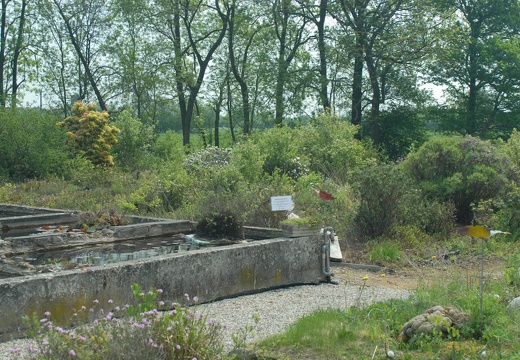 DSC 2757