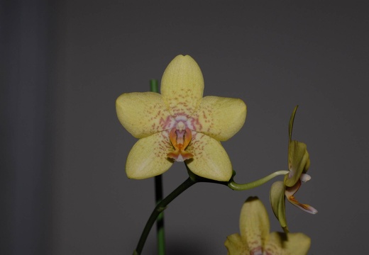 DSC 8769