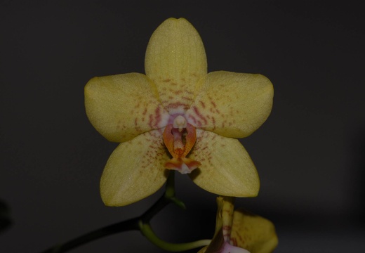 DSC 8771