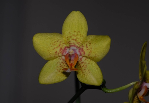 DSC 8773