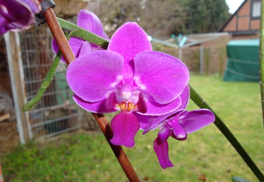 DSC00272