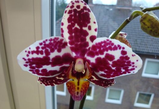 DSC00279