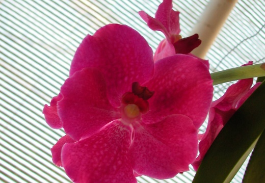 DSCN0049