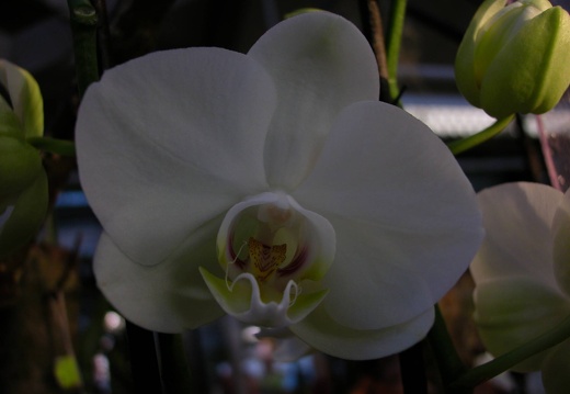 DSCN0066
