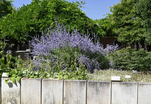  DSQ0973