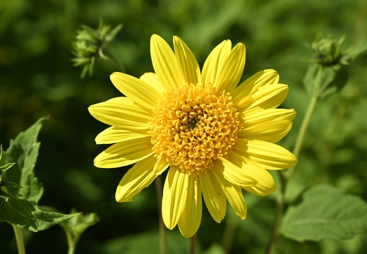  DSQ0980