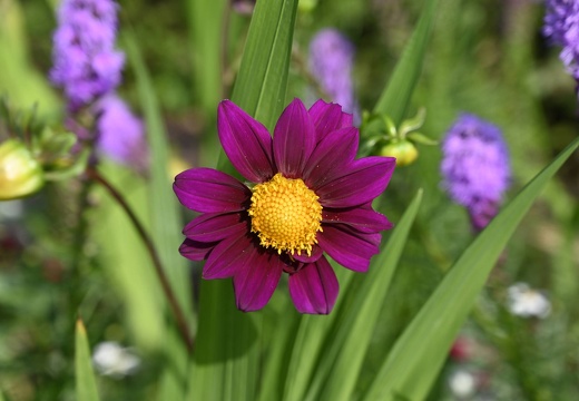  DSQ1041
