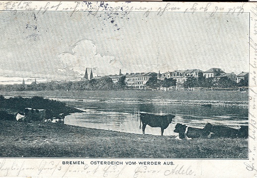 Image1-542