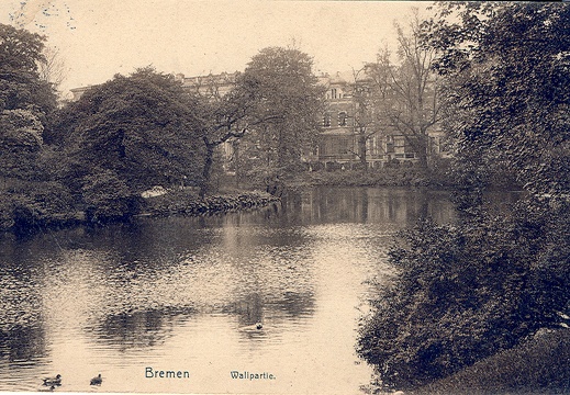 Image1-569
