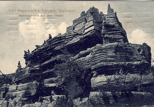 Image1-525