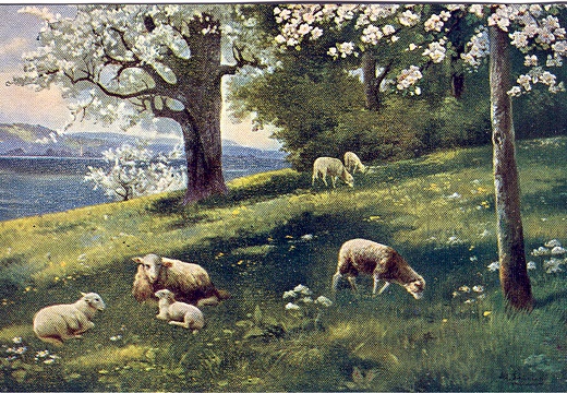 Image1-791