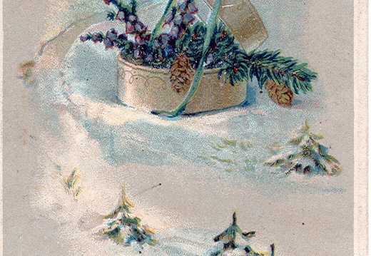Image1-801