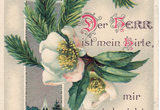 Image1-804