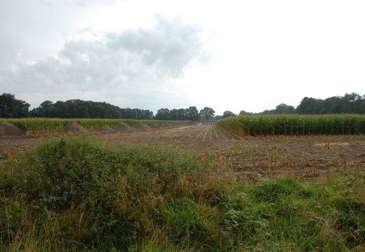 Weiterbau und Eröffnung mit Nordwest-Tangente