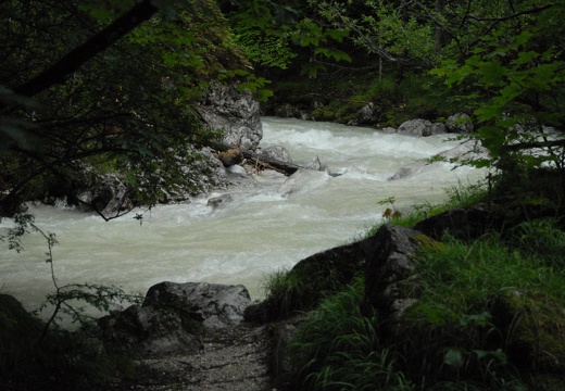 06.08.2010  Ramsau, Zauberwald