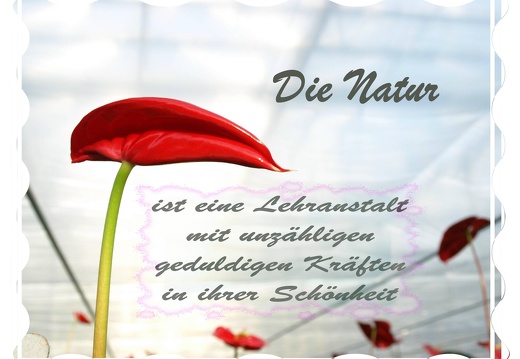 Die Natur