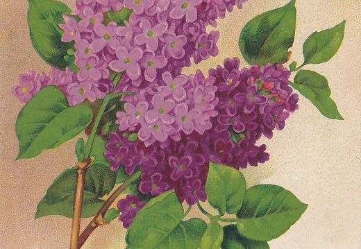 IMG 20240202 0005