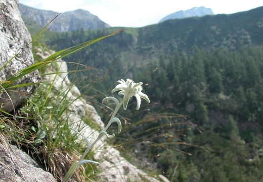 DSCN1597