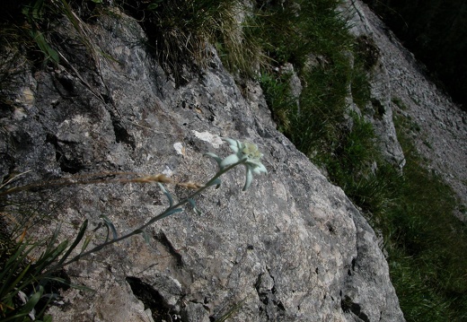DSCN1594