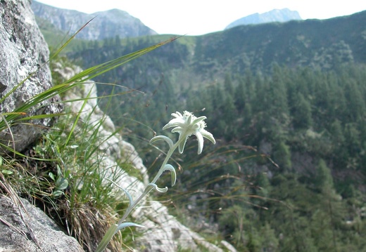 DSCN1596