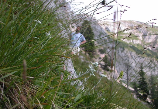 DSCN1611
